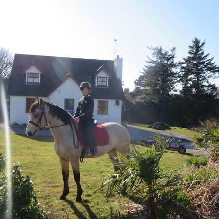 Letterfrack Farmhouse On Equestrian Farm In Letterfrack Beside Connemara National Park Tullywee Bridge Экстерьер фото