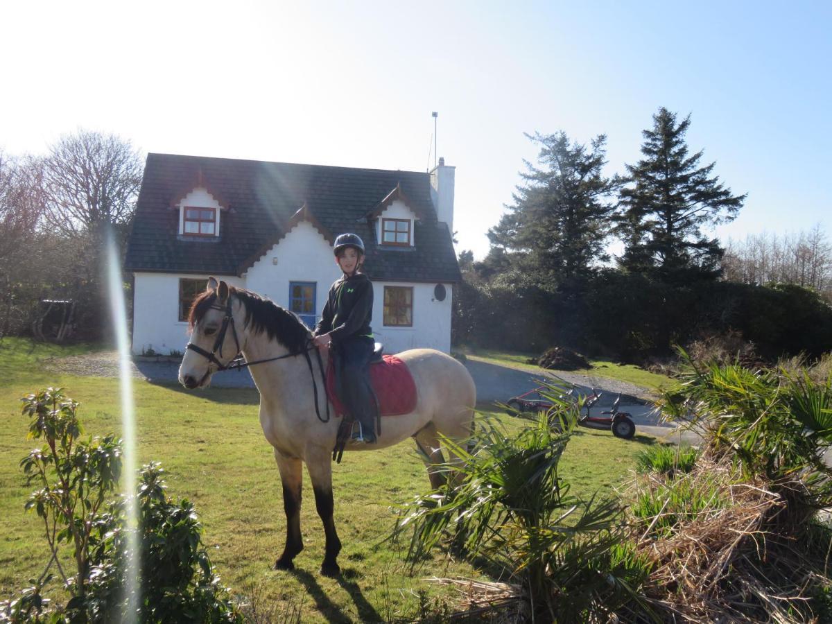 Letterfrack Farmhouse On Equestrian Farm In Letterfrack Beside Connemara National Park Tullywee Bridge Экстерьер фото