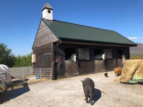 Letterfrack Farmhouse On Equestrian Farm In Letterfrack Beside Connemara National Park Tullywee Bridge Экстерьер фото