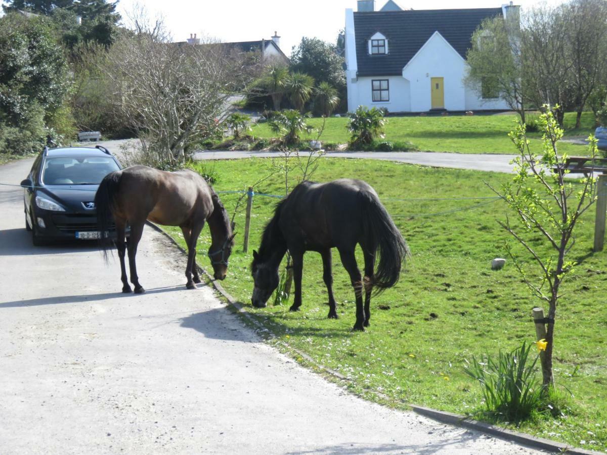 Letterfrack Farmhouse On Equestrian Farm In Letterfrack Beside Connemara National Park Tullywee Bridge Экстерьер фото